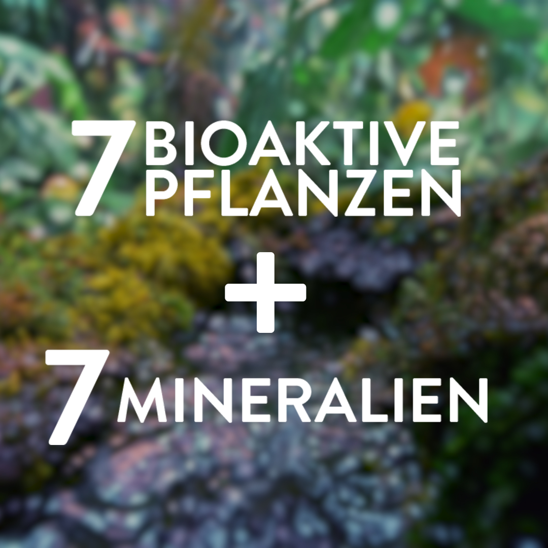 Phytomineral 24h Aufbaucreme